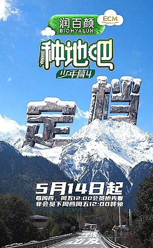 好，我们离婚吧海报