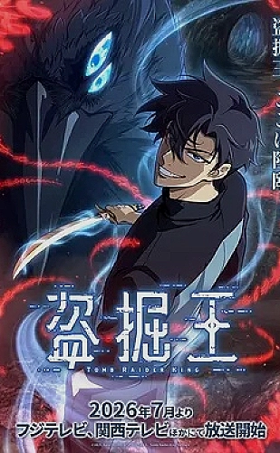 灵武大陆海报