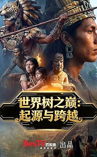 诺瓦克·德约科维奇：凛冬孤狼海报